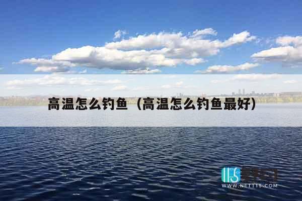 高温怎么钓鱼（高温怎么钓鱼最好）