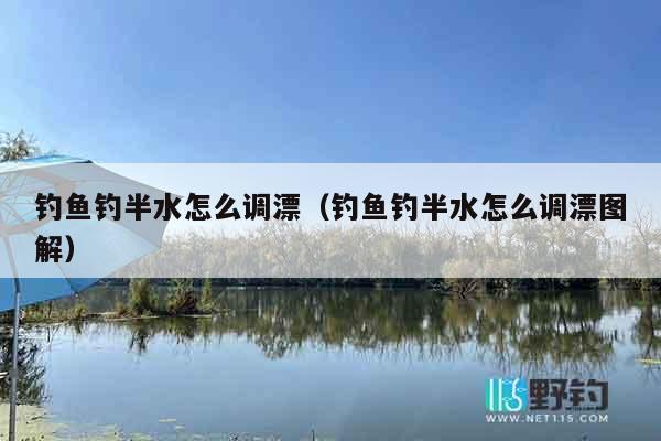 钓鱼钓半水怎么调漂（钓鱼钓半水怎么调漂图解）
