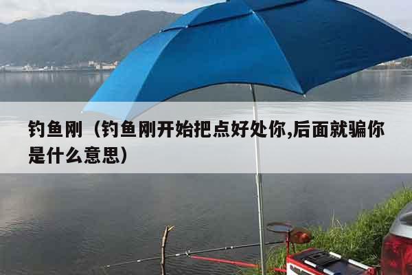钓鱼刚（钓鱼刚开始把点好处你,后面就骗你是什么意思）
