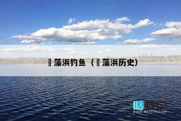 蕰藻浜钓鱼（蕰藻浜历史）