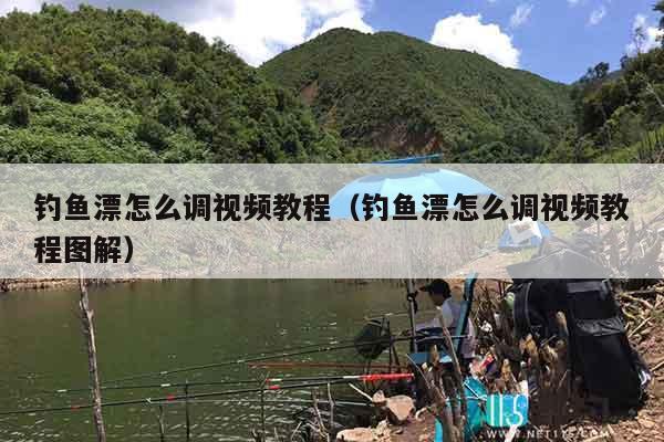 钓鱼漂怎么调视频教程（钓鱼漂怎么调视频教程图解）