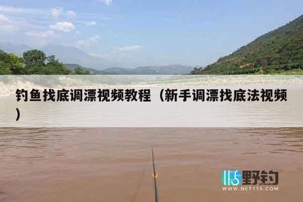钓鱼找底调漂视频教程（新手调漂找底法视频）
