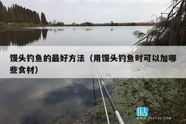 馒头钓鱼的最好方法（用馒头钓鱼时可以加哪些食材）