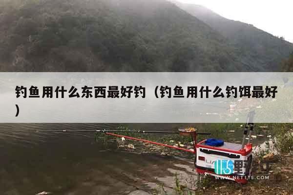 钓鱼用什么东西最好钓（钓鱼用什么钓饵最好）