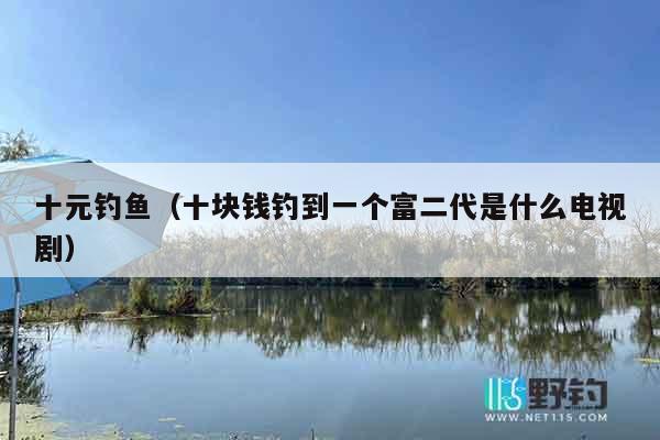 十元钓鱼（十块钱钓到一个富二代是什么电视剧）