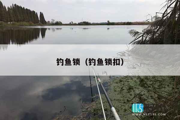 钓鱼锁（钓鱼锁扣）