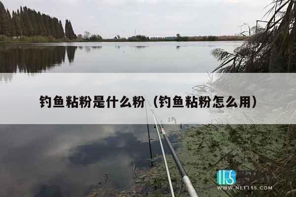 钓鱼粘粉是什么粉（钓鱼粘粉怎么用）