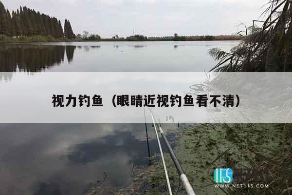 视力钓鱼（眼睛近视钓鱼看不清）