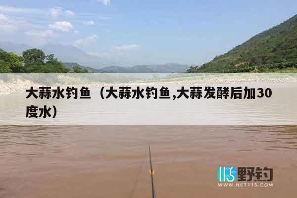 大蒜水钓鱼（大蒜水钓鱼,大蒜发酵后加30度水）