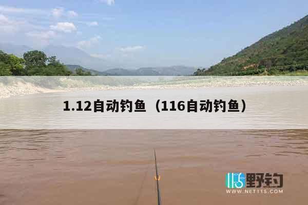 1.12自动钓鱼（116自动钓鱼）