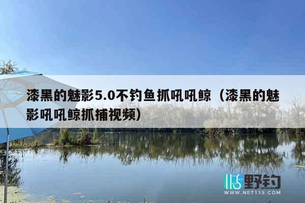 漆黑的魅影5.0不钓鱼抓吼吼鲸（漆黑的魅影吼吼鲸抓捕视频）