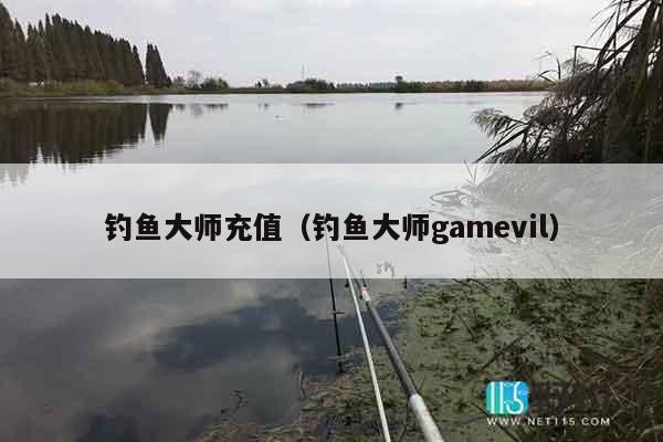 钓鱼大师充值（钓鱼大师gamevil）