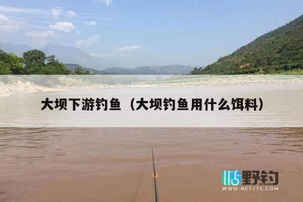 大坝下游钓鱼（大坝钓鱼用什么饵料）