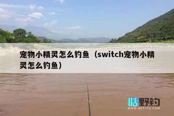 宠物小精灵怎么钓鱼（switch宠物小精灵怎么钓鱼）