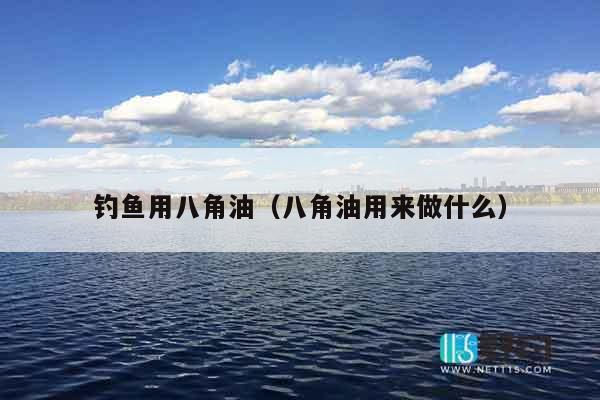 钓鱼用八角油（八角油用来做什么）