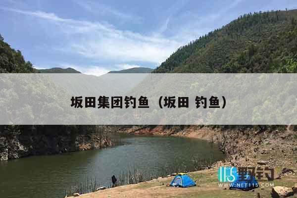 坂田集团钓鱼（坂田 钓鱼）