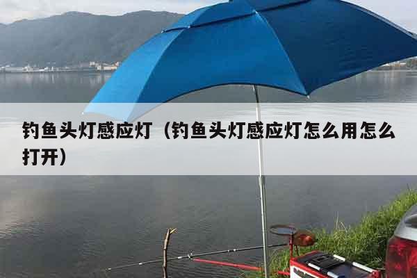 钓鱼头灯感应灯（钓鱼头灯感应灯怎么用怎么打开）