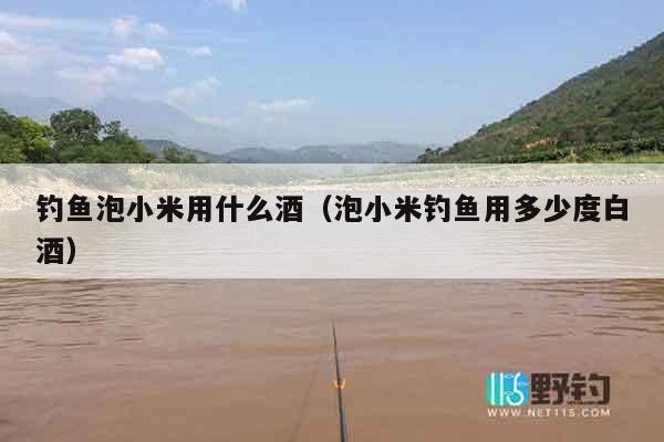 钓鱼泡小米用什么酒（泡小米钓鱼用多少度白酒）