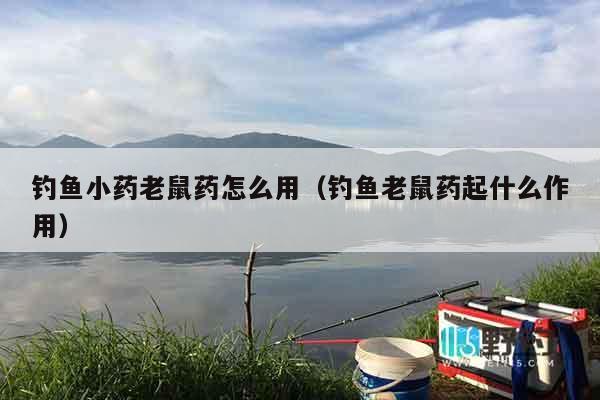 钓鱼小药老鼠药怎么用（钓鱼老鼠药起什么作用）