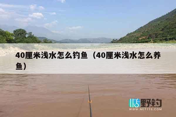 40厘米浅水怎么钓鱼（40厘米浅水怎么养鱼）