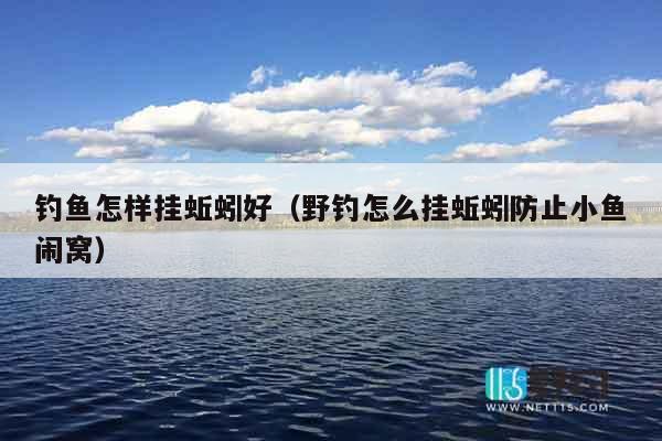 钓鱼怎样挂蚯蚓好（野钓怎么挂蚯蚓防止小鱼闹窝）