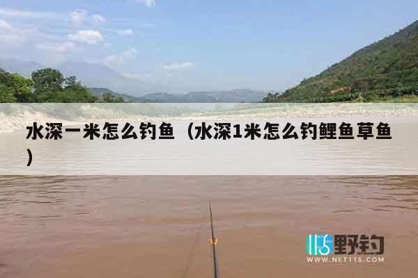 水深一米怎么钓鱼（水深1米怎么钓鲤鱼草鱼）