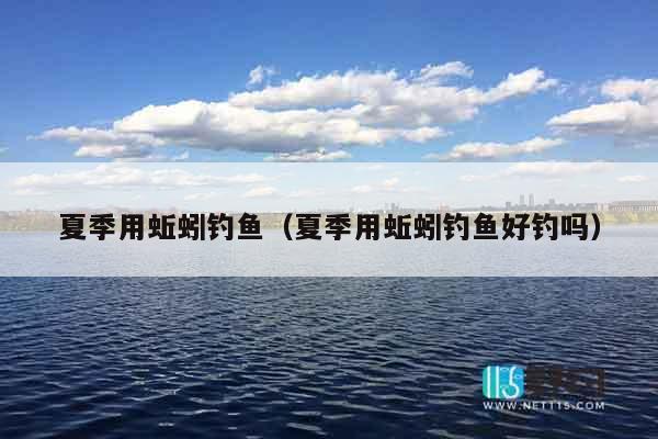 夏季用蚯蚓钓鱼（夏季用蚯蚓钓鱼好钓吗）