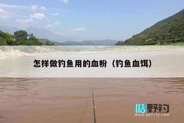 怎样做钓鱼用的血粉（钓鱼血饵）