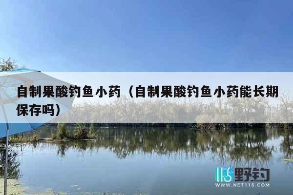 自制果酸钓鱼小药（自制果酸钓鱼小药能长期保存吗）