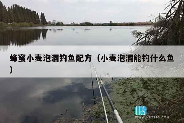 蜂蜜小麦泡酒钓鱼配方（小麦泡酒能钓什么鱼）