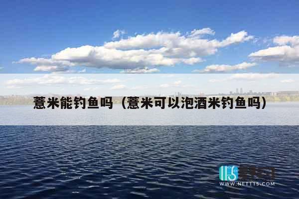 薏米能钓鱼吗（薏米可以泡酒米钓鱼吗）