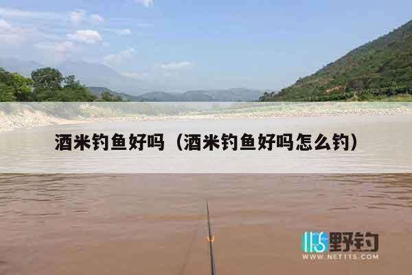 酒米钓鱼好吗（酒米钓鱼好吗怎么钓）