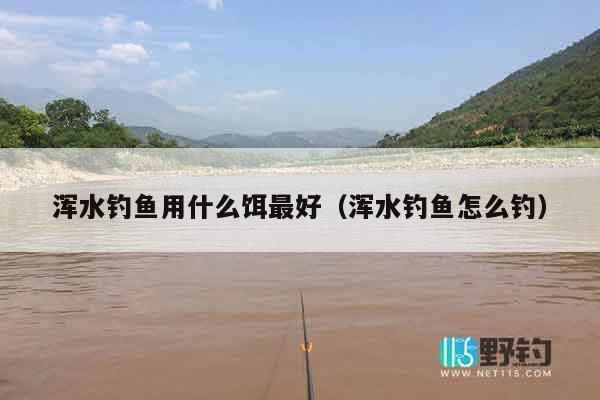 浑水钓鱼用什么饵最好（浑水钓鱼怎么钓）