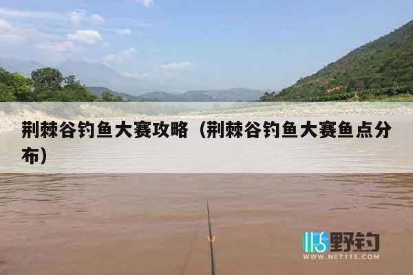 荆棘谷钓鱼大赛攻略（荆棘谷钓鱼大赛鱼点分布）
