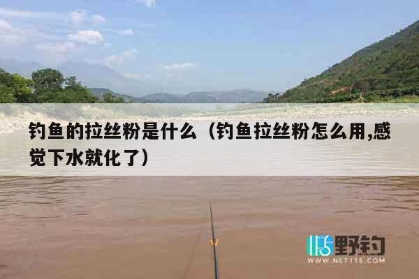 钓鱼的拉丝粉是什么（钓鱼拉丝粉怎么用,感觉下水就化了）