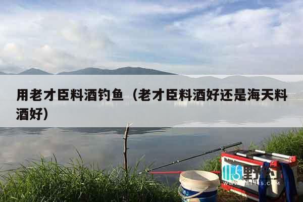 用老才臣料酒钓鱼（老才臣料酒好还是海天料酒好）