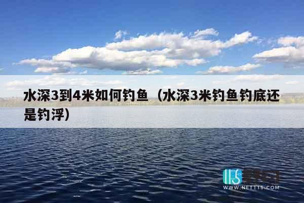 水深3到4米如何钓鱼（水深3米钓鱼钓底还是钓浮）