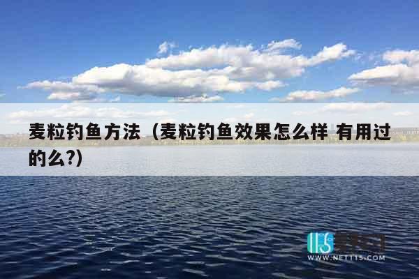 麦粒钓鱼方法（麦粒钓鱼效果怎么样 有用过的么?）
