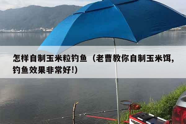 怎样自制玉米粒钓鱼（老曹教你自制玉米饵,钓鱼效果非常好!）