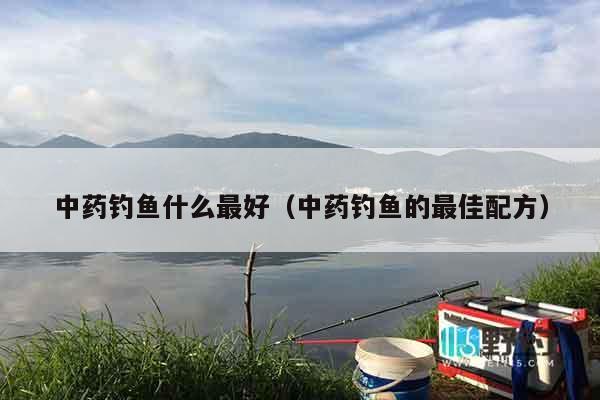 中药钓鱼什么最好（中药钓鱼的最佳配方）