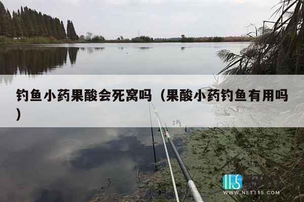 钓鱼小药果酸会死窝吗（果酸小药钓鱼有用吗）