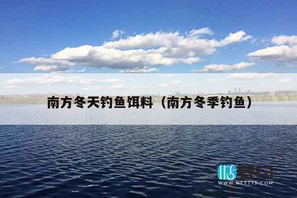 南方冬天钓鱼饵料（南方冬季钓鱼）