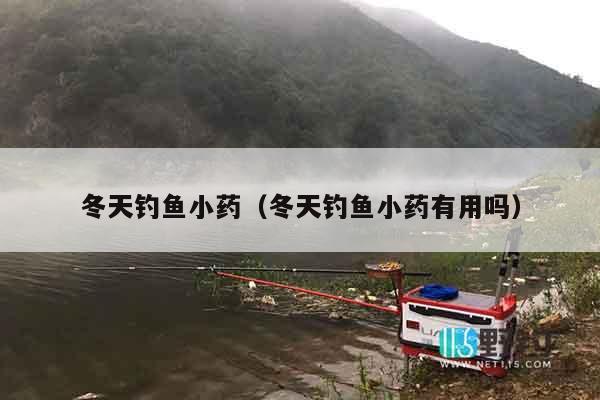 冬天钓鱼小药（冬天钓鱼小药有用吗）