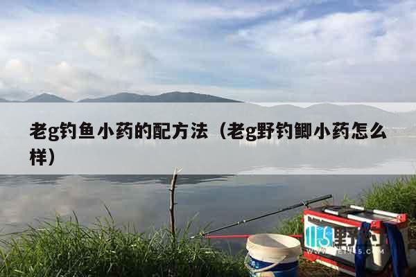 老g钓鱼小药的配方法（老g野钓鲫小药怎么样）