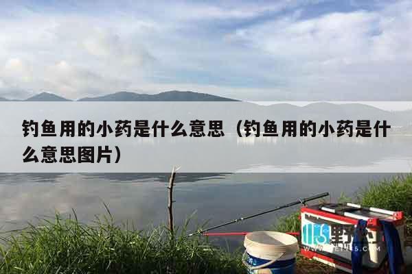 钓鱼用的小药是什么意思（钓鱼用的小药是什么意思图片）