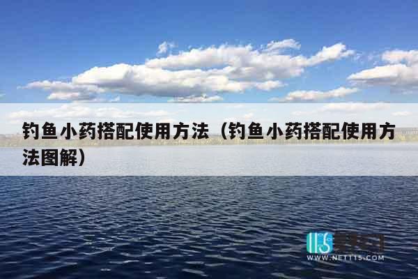 钓鱼小药搭配使用方法（钓鱼小药搭配使用方法图解）