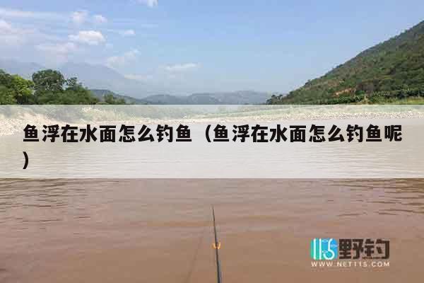 鱼浮在水面怎么钓鱼（鱼浮在水面怎么钓鱼呢）