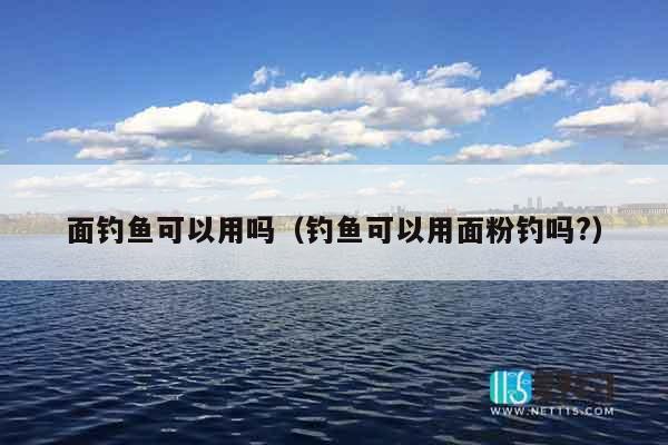 面钓鱼可以用吗（钓鱼可以用面粉钓吗?）