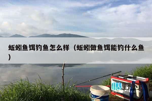 蚯蚓鱼饵钓鱼怎么样（蚯蚓做鱼饵能钓什么鱼）