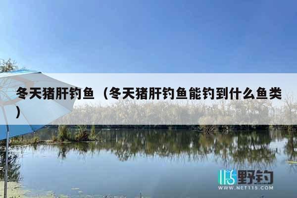 冬天猪肝钓鱼（冬天猪肝钓鱼能钓到什么鱼类）